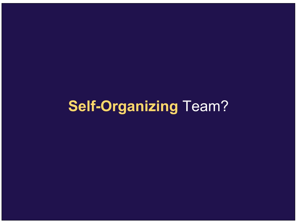 Defining Self Organizing Teams