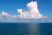 So You're Already in the Cloud?